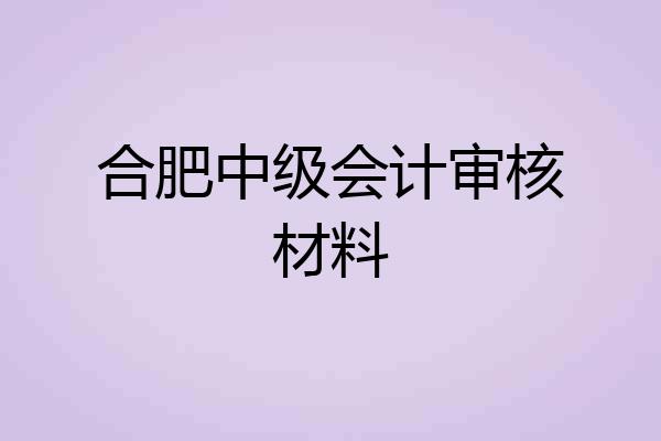合肥中级会计审核材料