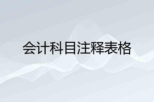 会计科目注释表格