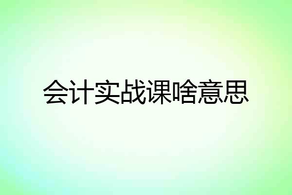 会计实战课啥意思