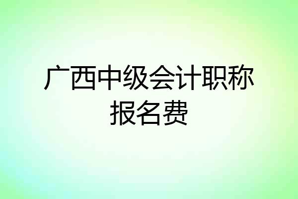广西中级会计职称报名费
