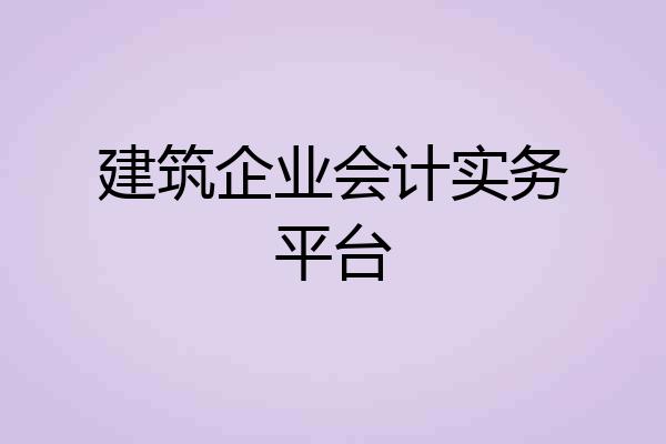 建筑企业会计实务平台