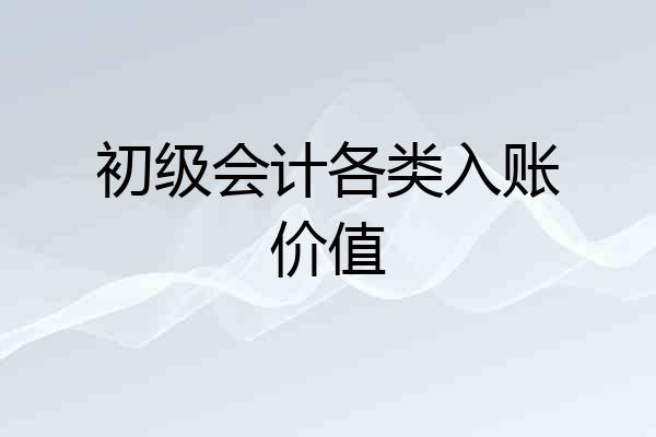 初级会计各类入账价值