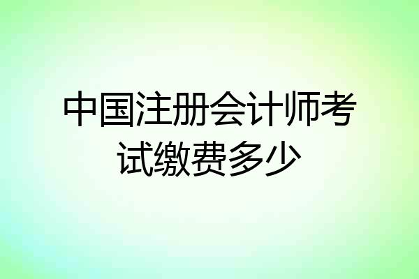 中国注册会计师考试缴费多少
