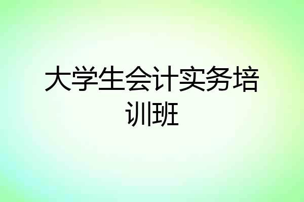 大学生会计实务培训班