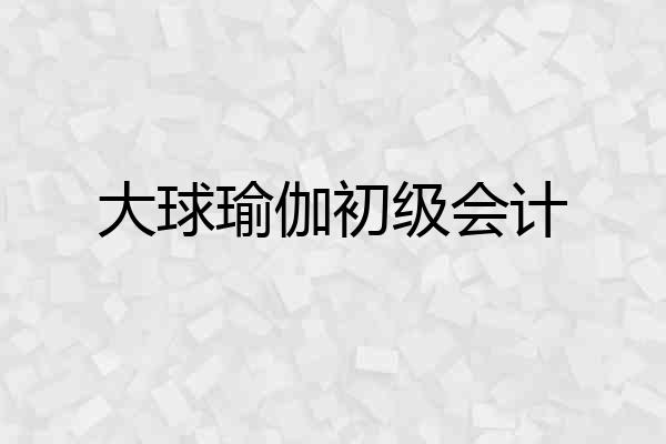 大球瑜伽初级会计
