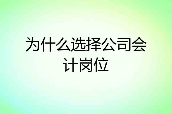 为什么选择公司会计岗位