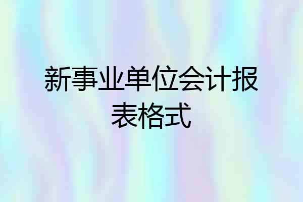 新事业单位会计报表格式