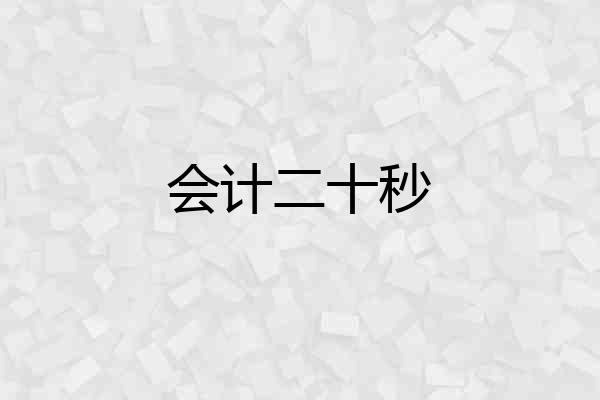 会计二十秒