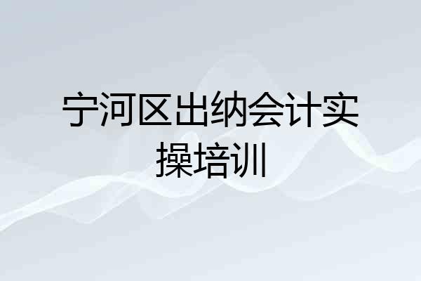 宁河区出纳会计实操培训