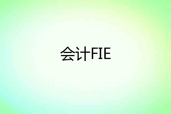 会计FIE