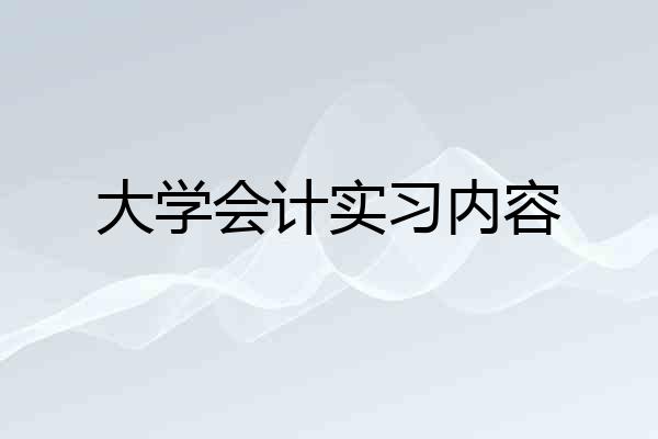 大学会计实习内容