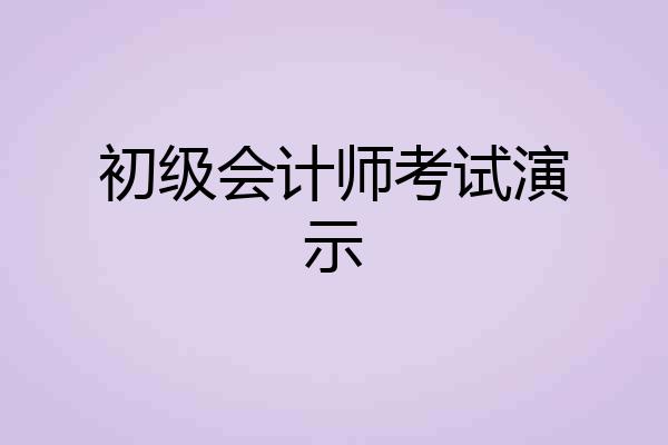 初级会计师考试演示