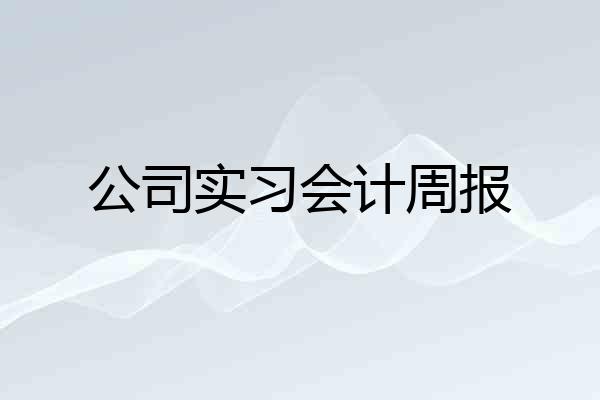 公司实习会计周报