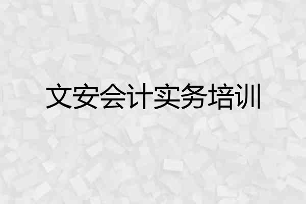 文安会计实务培训