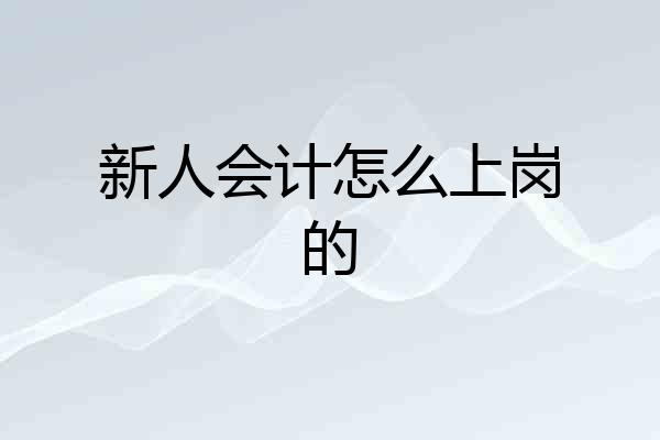 新人会计怎么上岗的