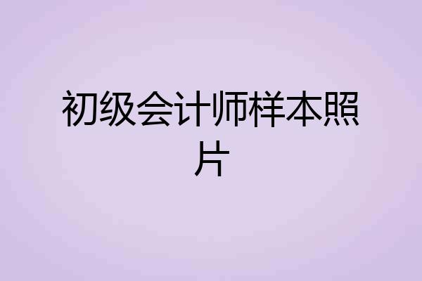 初级会计师样本照片