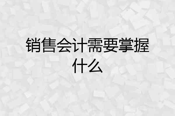 销售会计需要掌握什么