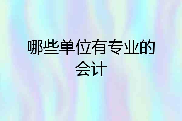哪些单位有专业的会计