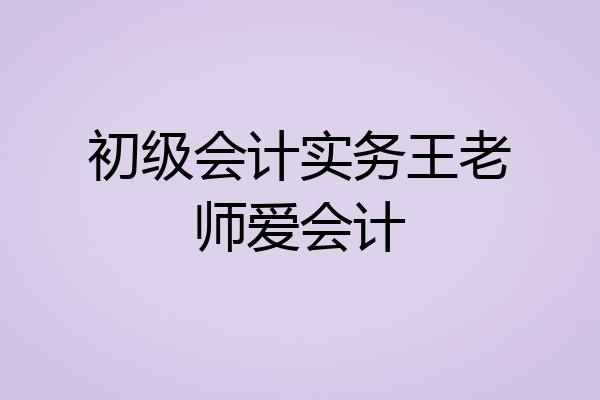 初级会计实务王老师爱会计