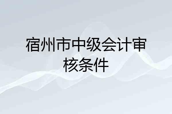 宿州市中级会计审核条件