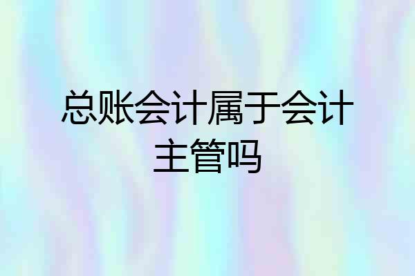 总账会计属于会计主管吗