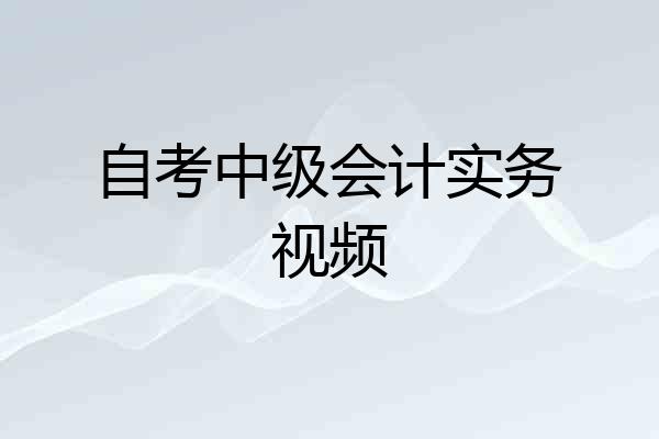 自考中级会计实务视频