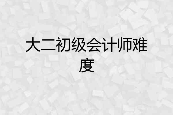 大二初级会计师难度