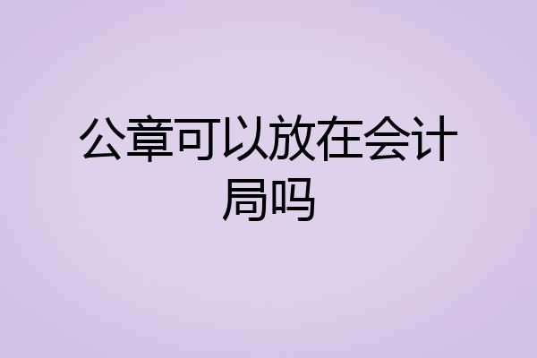 公章可以放在会计局吗