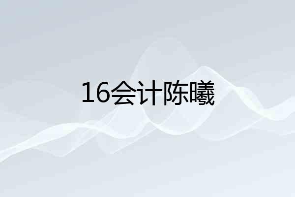 16会计陈曦