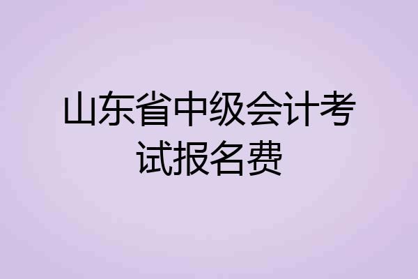 山东省中级会计考试报名费