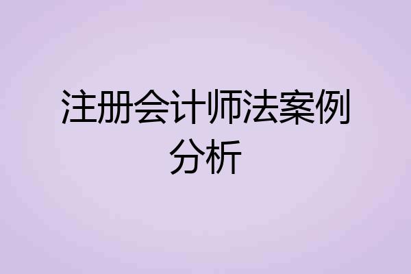 注册会计师法案例分析