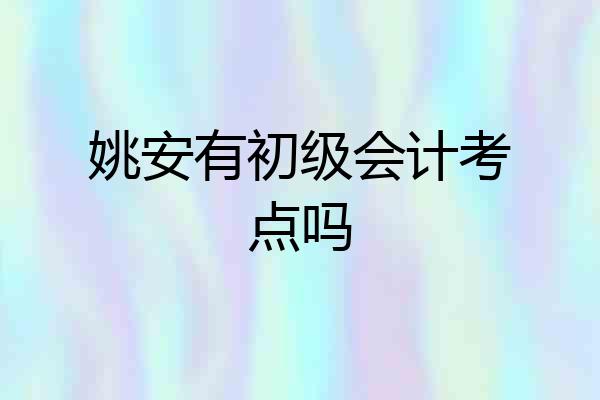 姚安有初级会计考点吗