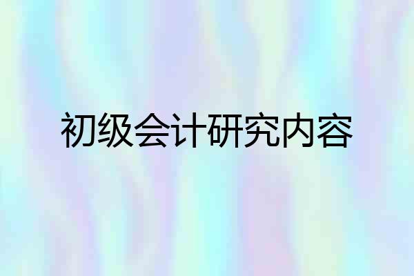 初级会计研究内容