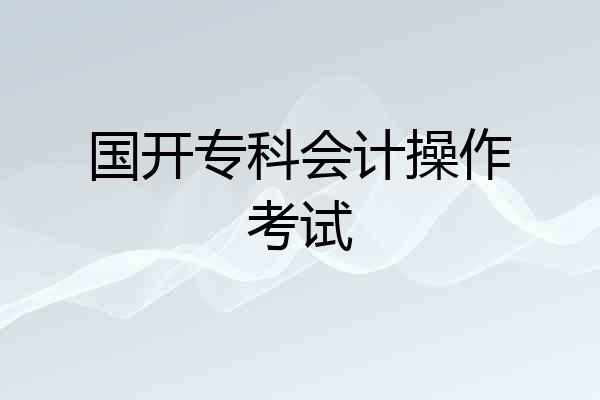 国开专科会计操作考试