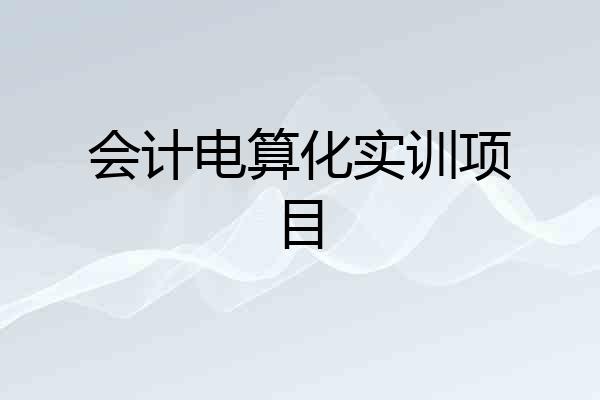 会计电算化实训项目