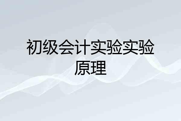 初级会计实验实验原理