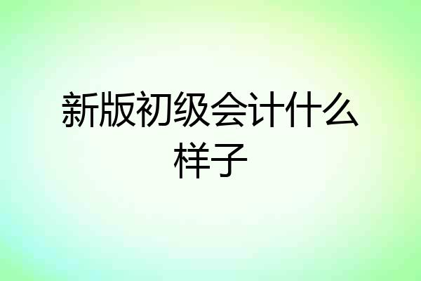 新版初级会计什么样子