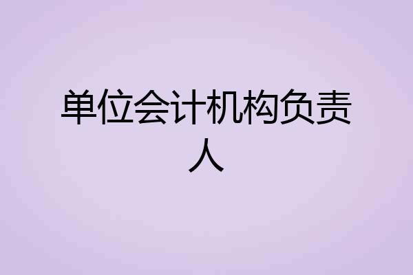 单位会计机构负责人