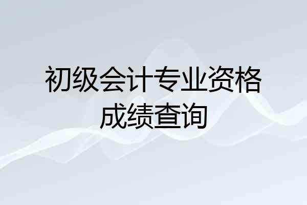 初级会计专业资格成绩查询