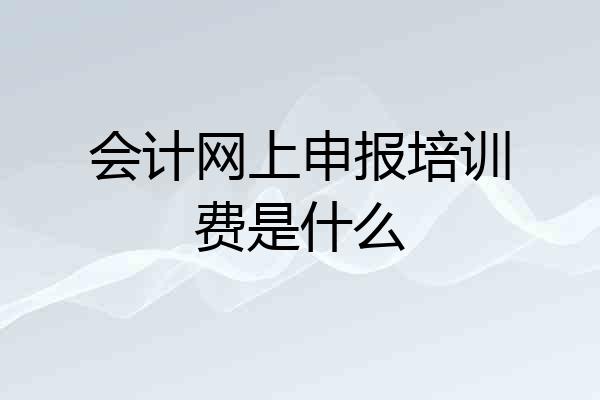 会计网上申报培训费是什么