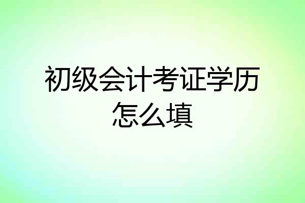 初级会计考证学历怎么填