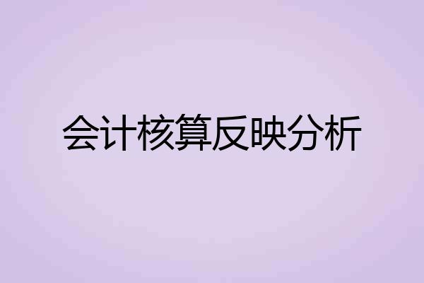 会计核算反映分析