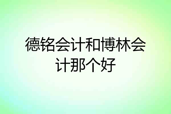 德铭会计和博林会计那个好