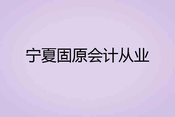 宁夏固原会计从业