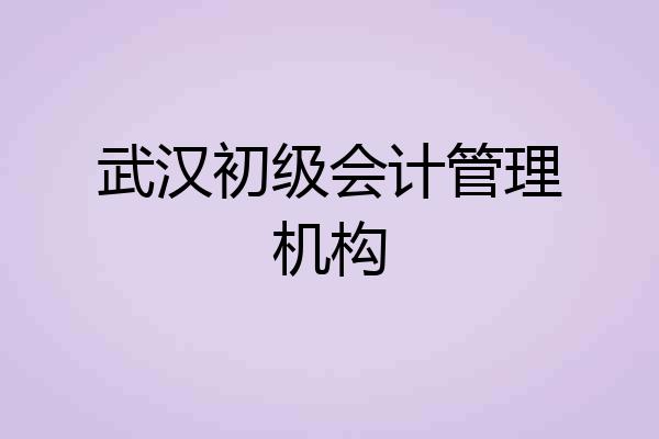 武汉初级会计管理机构