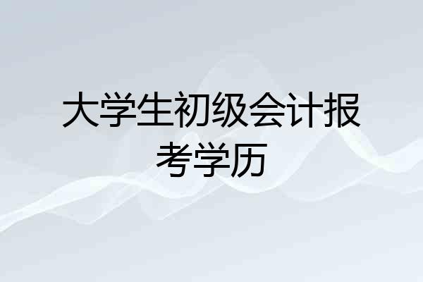 大学生初级会计报考学历