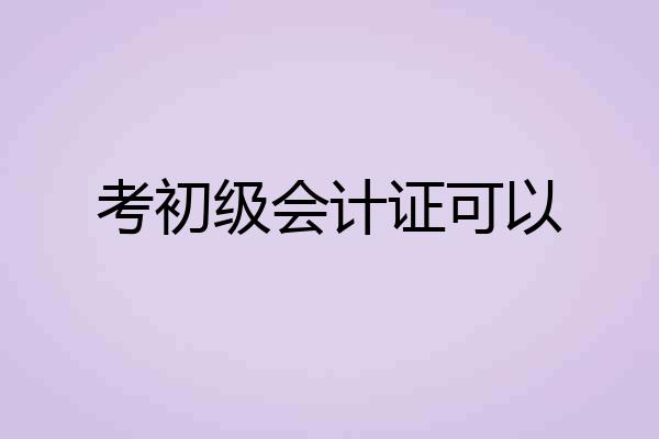 考初级会计证可以