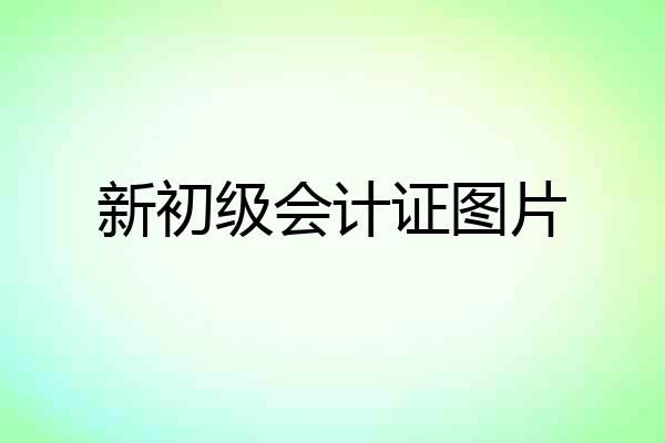 新初级会计证图片