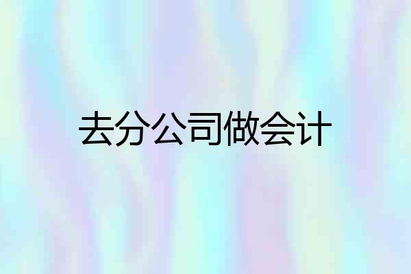 去分公司做会计