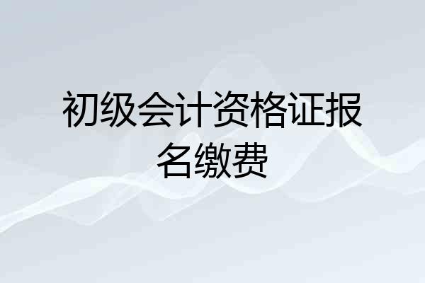 初级会计资格证报名缴费